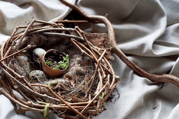 A bird nest made of twigs, grass, and natural materials, with a broken egg inside. The nest is built on the ground using soil, wood, and terrestrial plants - 786192638