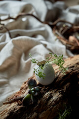 A bird nest made of twigs, grass, and natural materials, with a broken egg inside. The nest is built on the ground using soil, wood, and terrestrial plants - 786193036