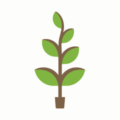 Fototapeta premium green plant isolated on white