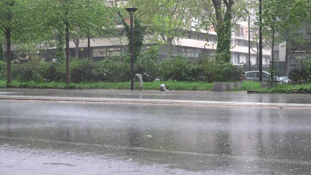 Pluie et vents violents en ville
