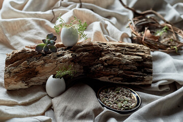 A bird nest made of twigs, grass, and natural materials, with a broken egg inside. The nest is...