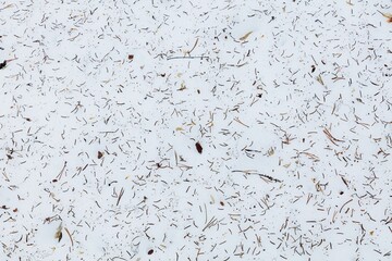 Closeup of pine needles on the ground on snow. Winter background.