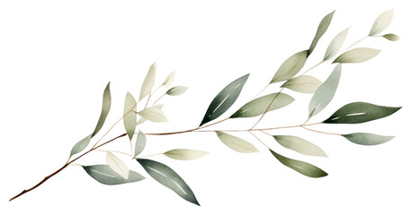 PNG Branch plant leaf tree