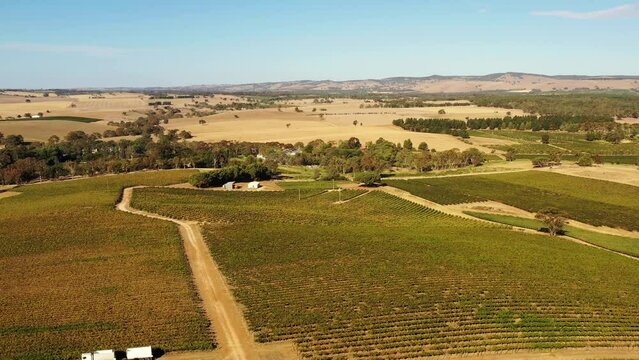 Aerial landscape of Barossa Valley shiraz South Australian countyside.

