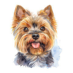 York Shire Terrier dog watercolor good quality and good design