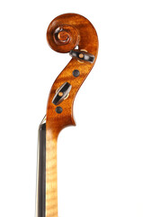 violino
