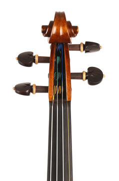 violino
