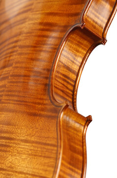 violino
