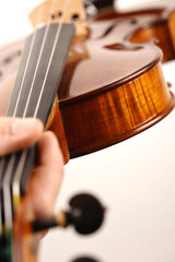 violino
