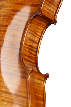 violino
