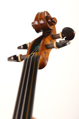 violino
