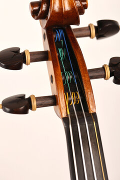 violino
