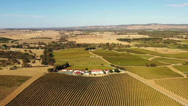 Sun lit Barossa valley vineyards in wine making farms at Tanunda – aerial 4k.
