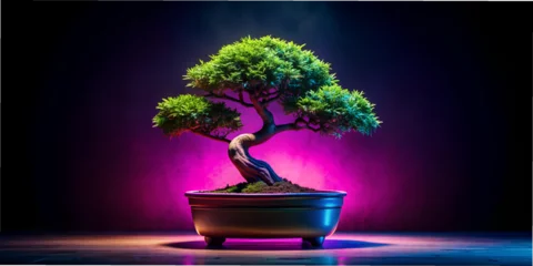  a pot with bonsai stands on a black background neon AI generation, design, wallpaper, desktop wallpaper, abstraction,  rectangles, shapes, shapes, vivid images, minimalism, © Anelya