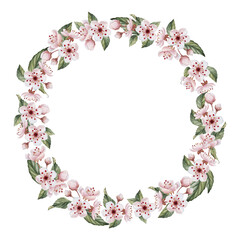 Wreath with cherry blossom, watercolor illustration isolated on white for table textile, tableware and delicious prints