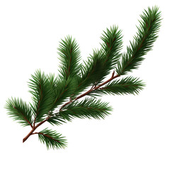 Pine tree branch border realistic vector illustration. Fir twigs with green needles