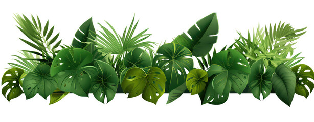 Plant leaves Green nature Tropical forest isolated on transparent background PNG