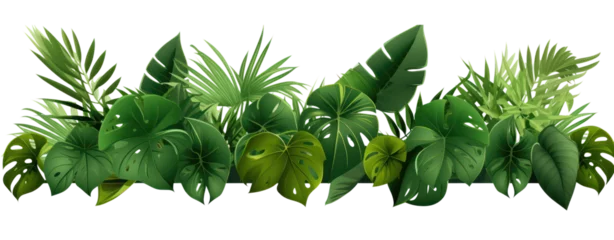 Badezimmer Foto Rückwand Plant leaves Green nature Tropical forest isolated on transparent background PNG © Jo