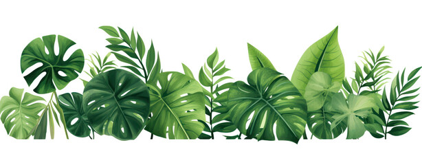 Plant leaves Green nature Tropical forest isolated on transparent background PNG - obrazy, fototapety, plakaty