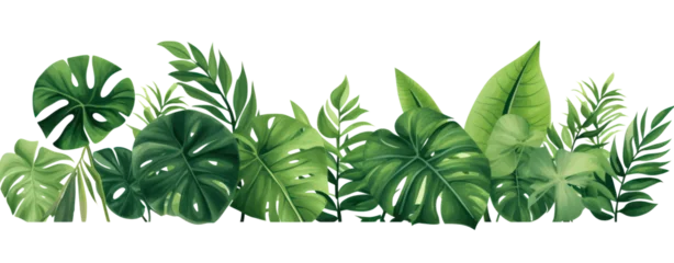  Plant leaves Green nature Tropical forest isolated on transparent background PNG © Jo