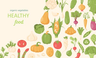 Promotional web banner with cute hand drawn vegetables