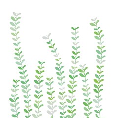 green leaves isolated on white background