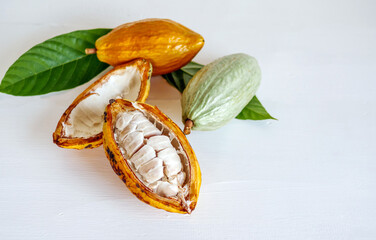 Half sliced ripe yellow cacao pod with white cocoa seed ,Cut in half fresh ripe cacao and green raw cacao fruit on white wooden background