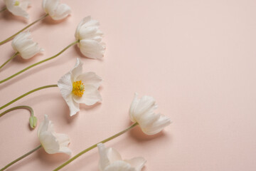 Floral flat lay with spring flowers. Anemone flowers, simple countryside banner. Space for text....