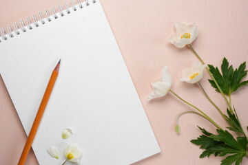 Anemone flowers, notebook blank and pensil on a soft pink background. Flat lay. Mockup, copy space.