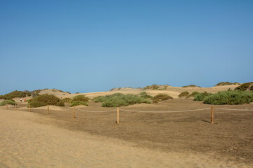 Sand dune with a fence - 786217899