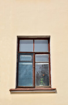 View of an old wooden window. There is a flower in the window.