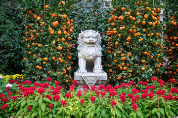 Lion statue between the orange trees and flowers