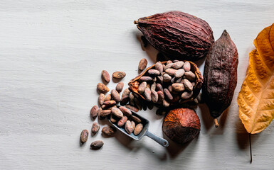 Top view of brown cocoa beans and dry cacao pod on white wooden table