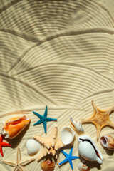 Colored starfish and shells on white wavy fine sand.