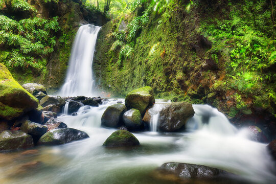 Beautiful waterfalls from the Azores - Salto do Prego, green stream in rainforest