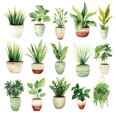 Set of Pot green plants watercolor hand drawn home decoration