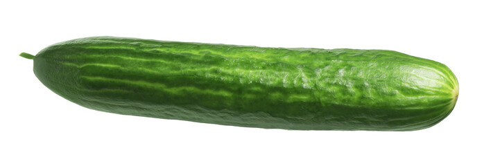 One long fresh cucumber isolated on white