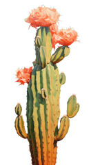PNG Beautiful tall cactus painting plant inflorescence - obrazy, fototapety, plakaty