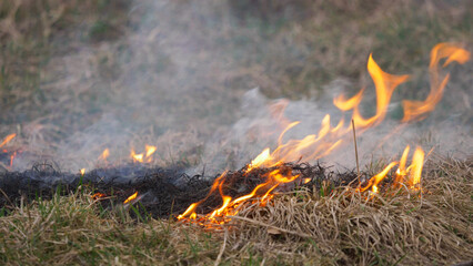 Fire spreading on dry vegetation on hot summer