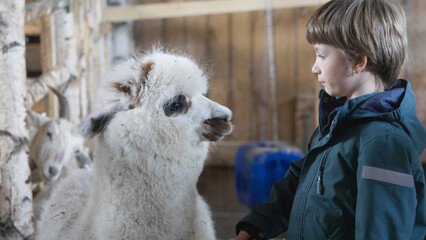 Kid and alpaca talking as best friends