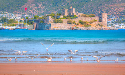 Panoramic view of Saint Peter Castle (Bodrum castle) and marina 
View of Bodrum beach in the foreground - Bodrum, Turkey