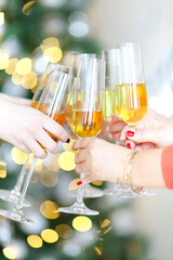 Women proposing toast during party