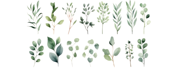 watercolor green plants set collection leaf herbal flower