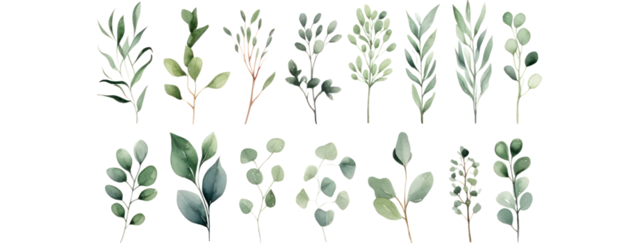 watercolor green plants set collection leaf herbal flower