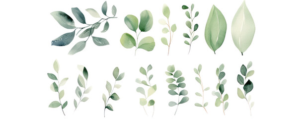 watercolor green plants set collection leaf herbal flower