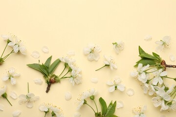 Fototapeta na wymiar Beautiful spring tree blossoms and petals on beige background, flat lay. Space for text