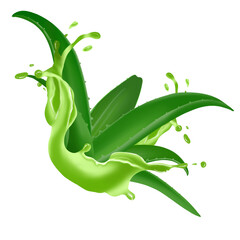 Aloe realistic plant. Green aloe vera, medicine plant and juice splash, natural cosmetology component and skin cream isolated  illustration