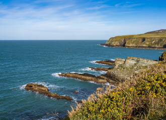 Walking the Anglesey coastal path from South Stack