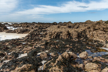 Rocky ocean coast in Brittany, France at low tide. - 786242825
