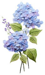 PNG Hydrangea in embroidery style flower plant inflorescence - obrazy, fototapety, plakaty